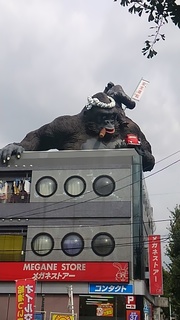 2014-10-12 13.01.18.jpg